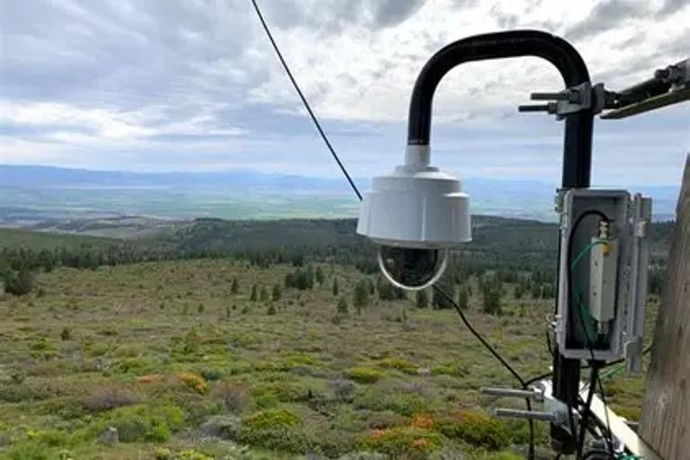 Toronto Startup Develops AI Tool for Forest Fire Detection